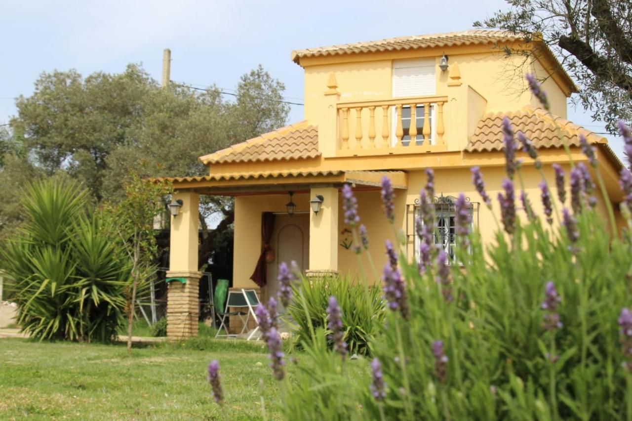 Casa Villa El Olivar هويلفا المظهر الخارجي الصورة